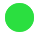 Green circle Icon
